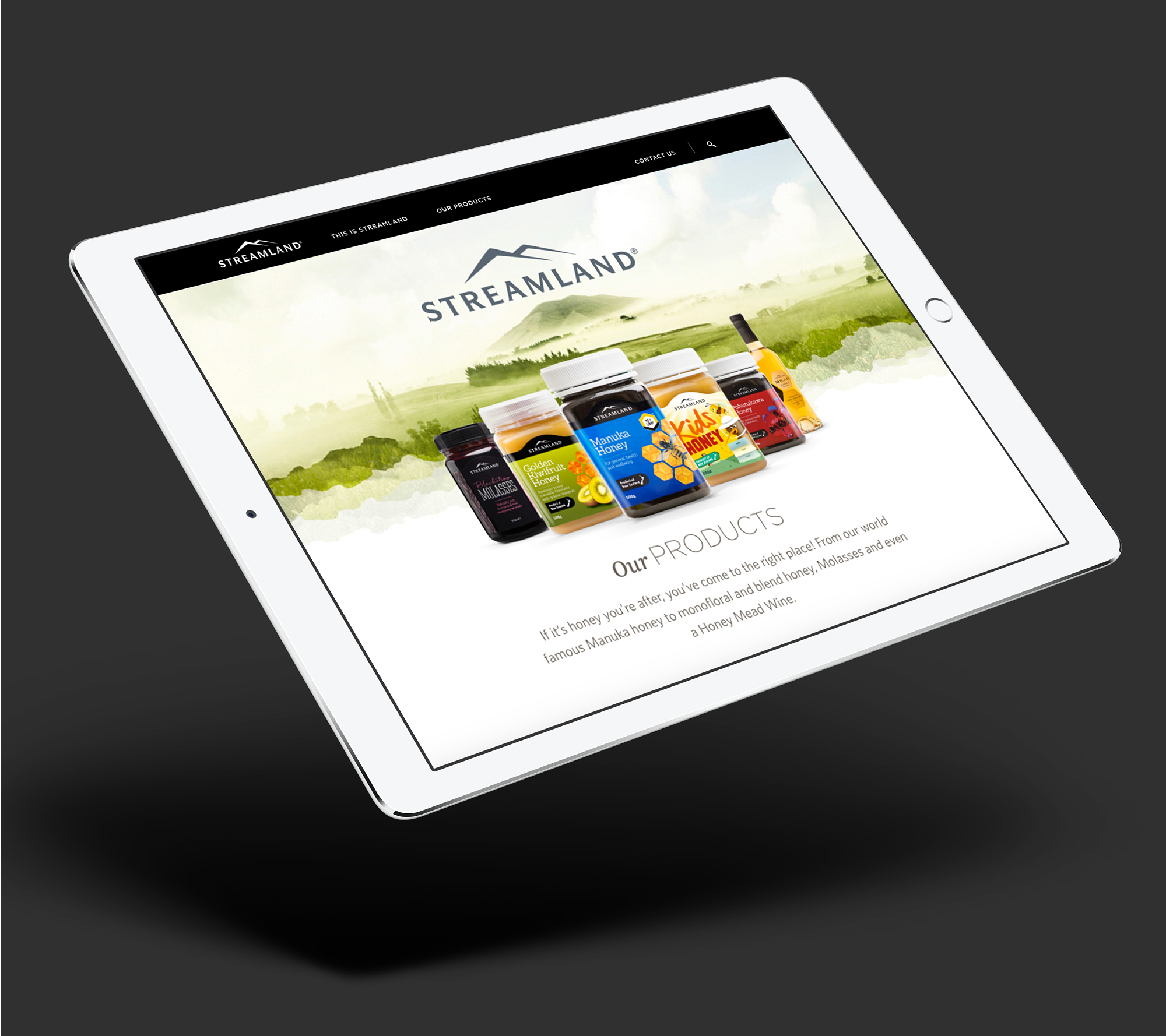 onfire design streamland honey digital website design auckland 2