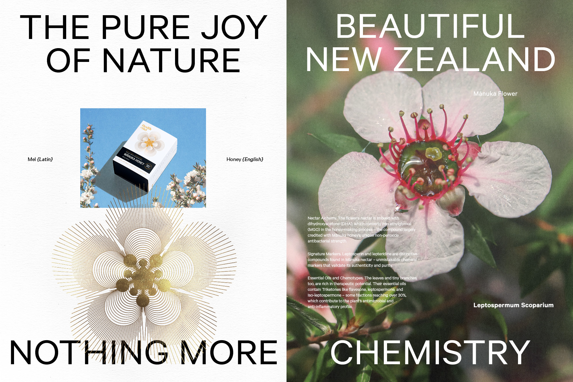 Onfire Design Health Mel Packaging19