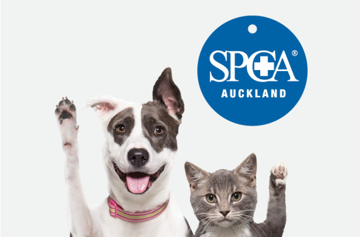 SPCA Auckland | 