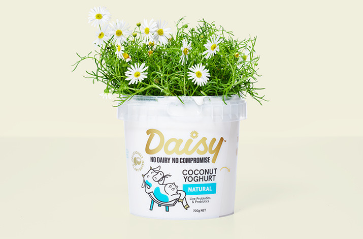 Daisy |
