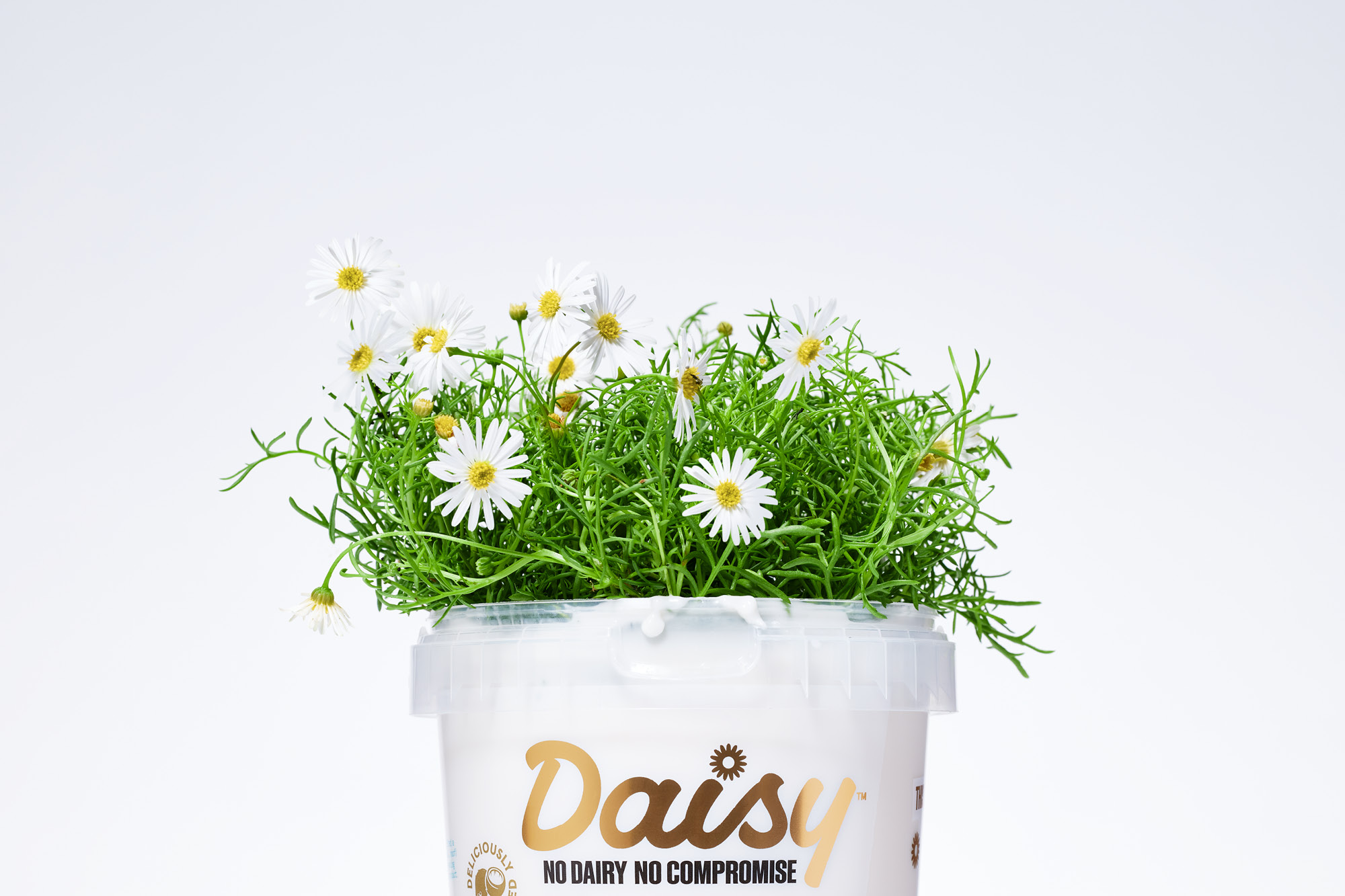 onfire design daisy packaging design branding auckland 5