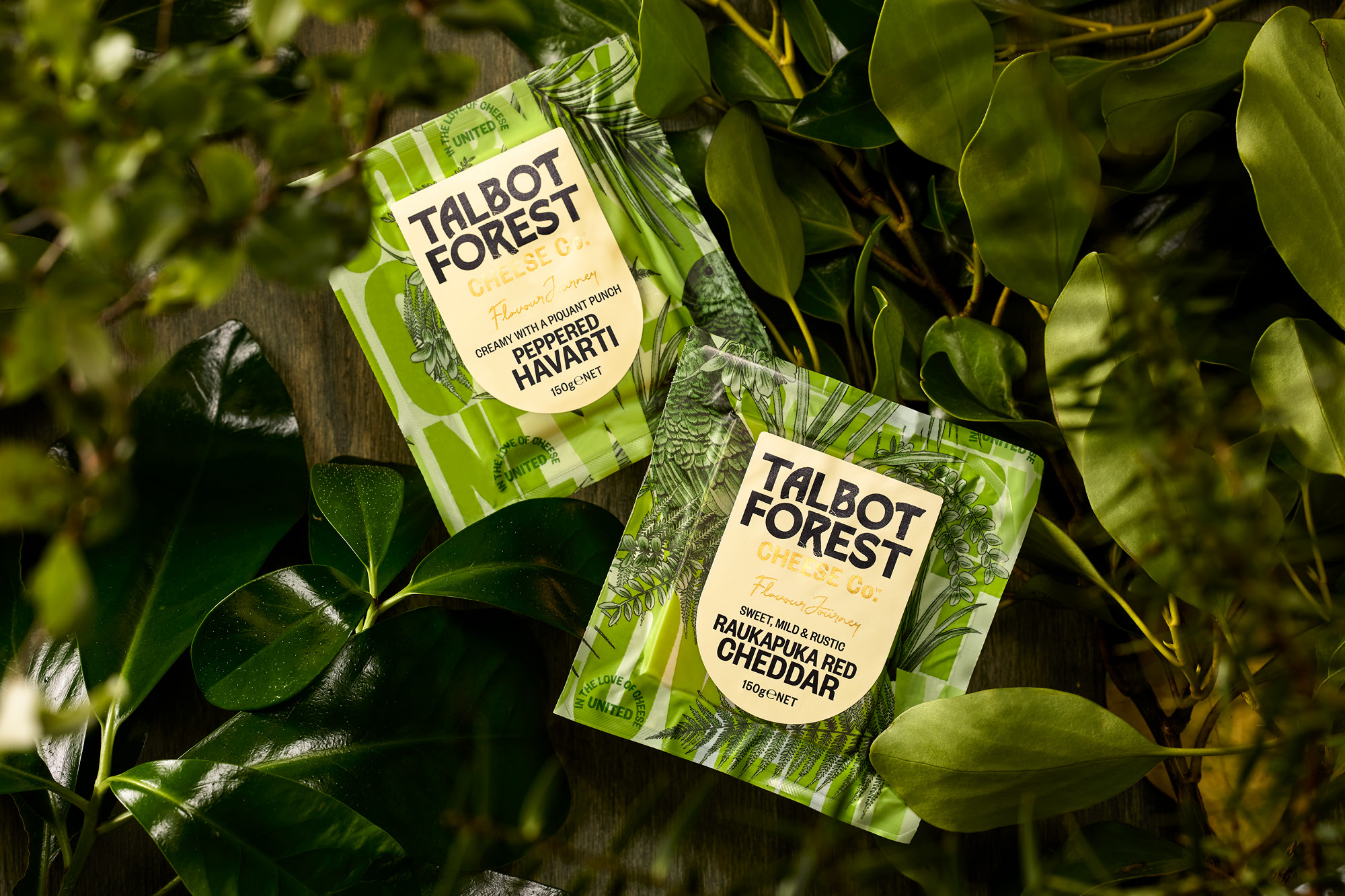 onfire design talbot forest cheese packaging design banner