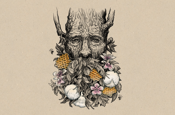 Streamland | 