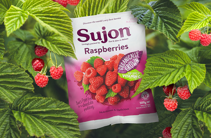 Sujon Berries | 