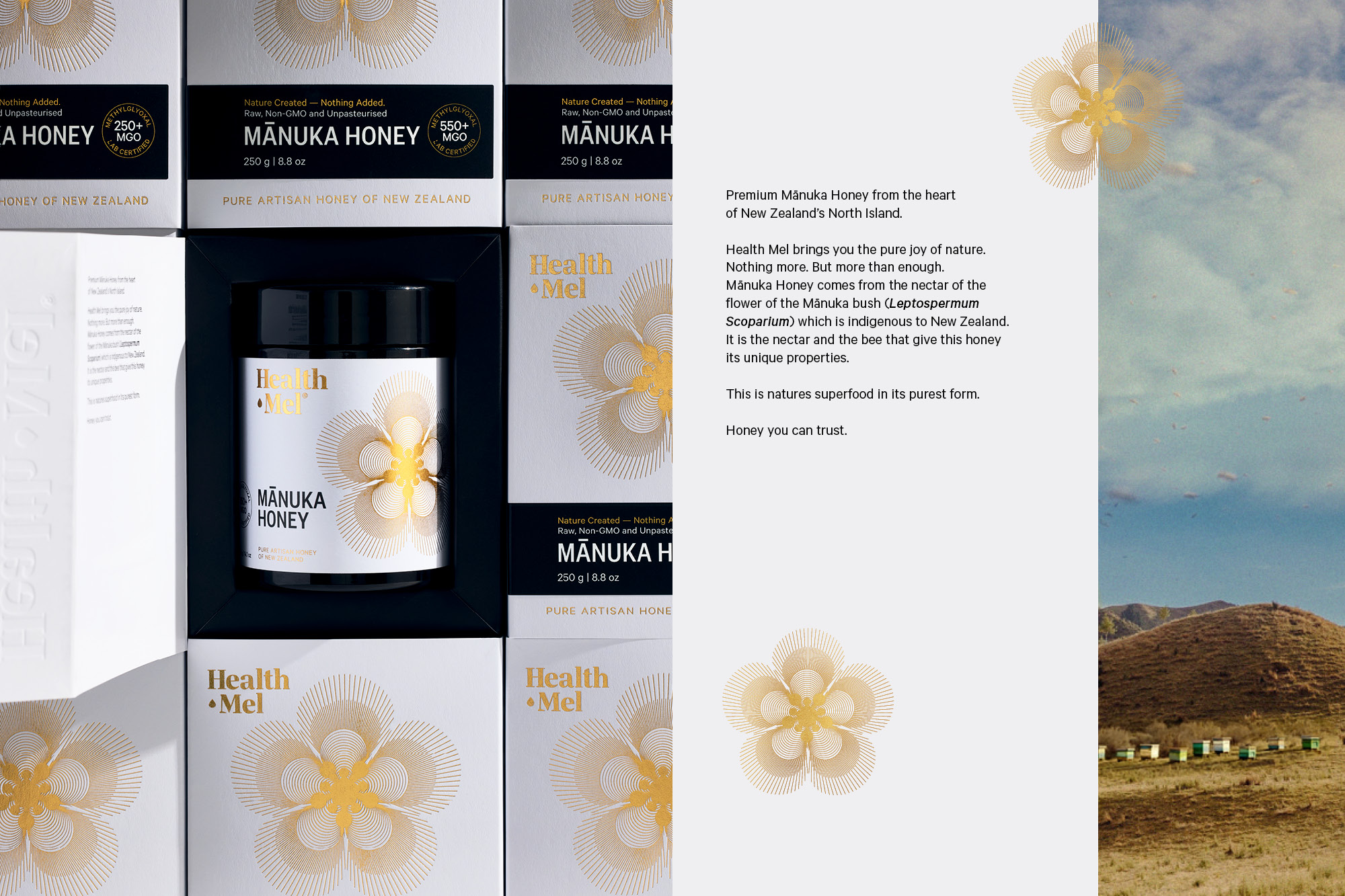 Onfire Design Health Mel Manuka Honey Packaging28