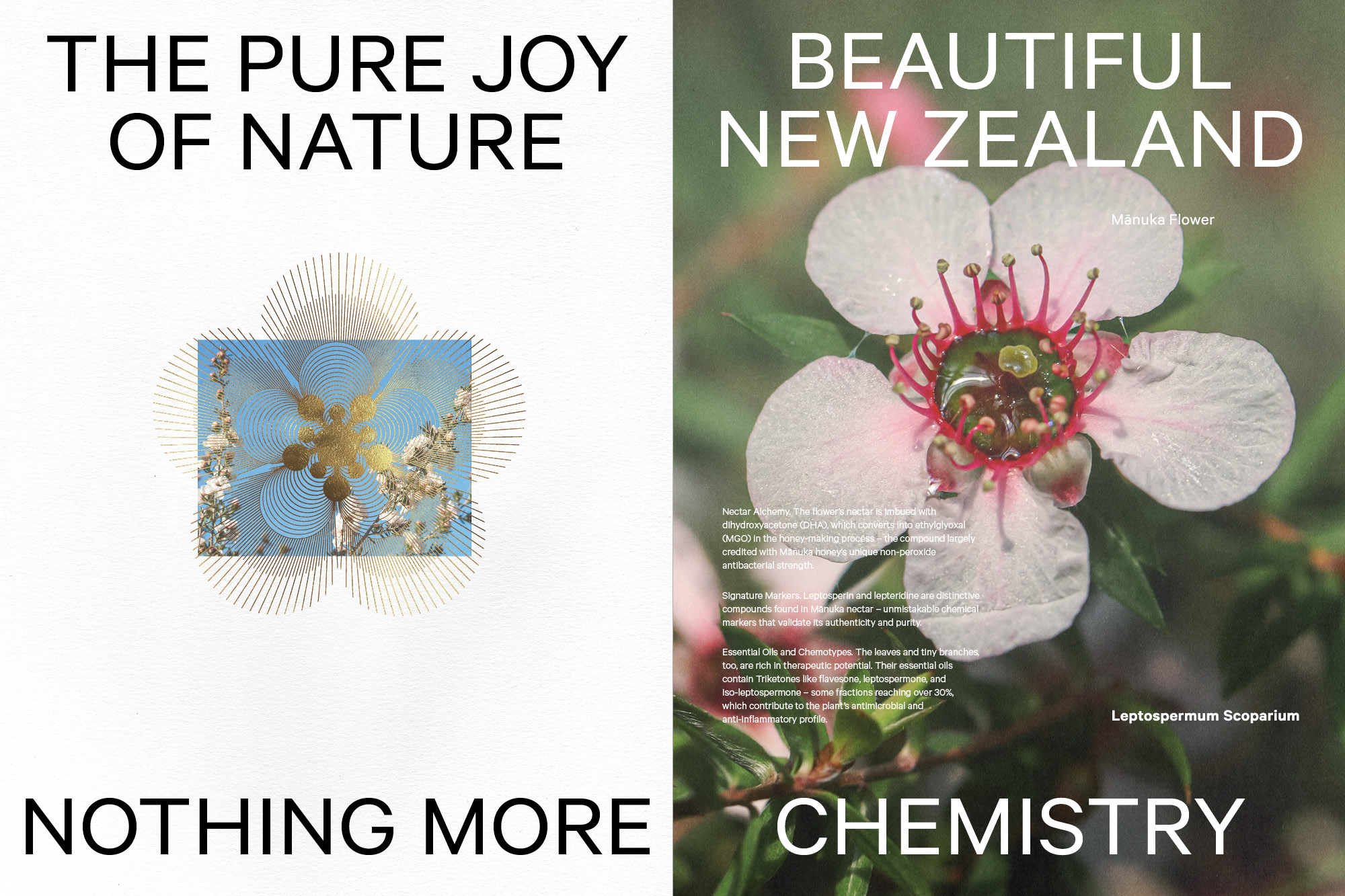 Onfire Design Health Mel Packaging11