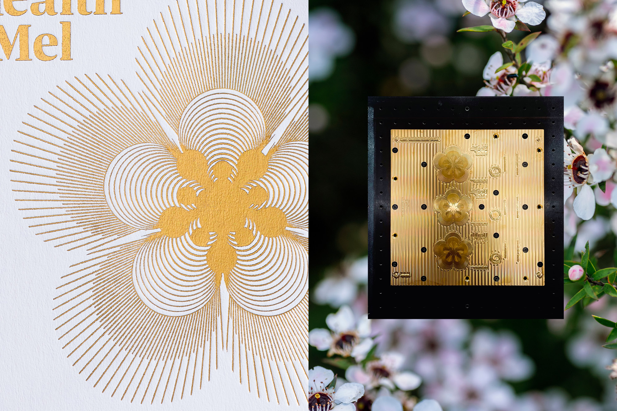 Onfire Design Health Mel Packaging20