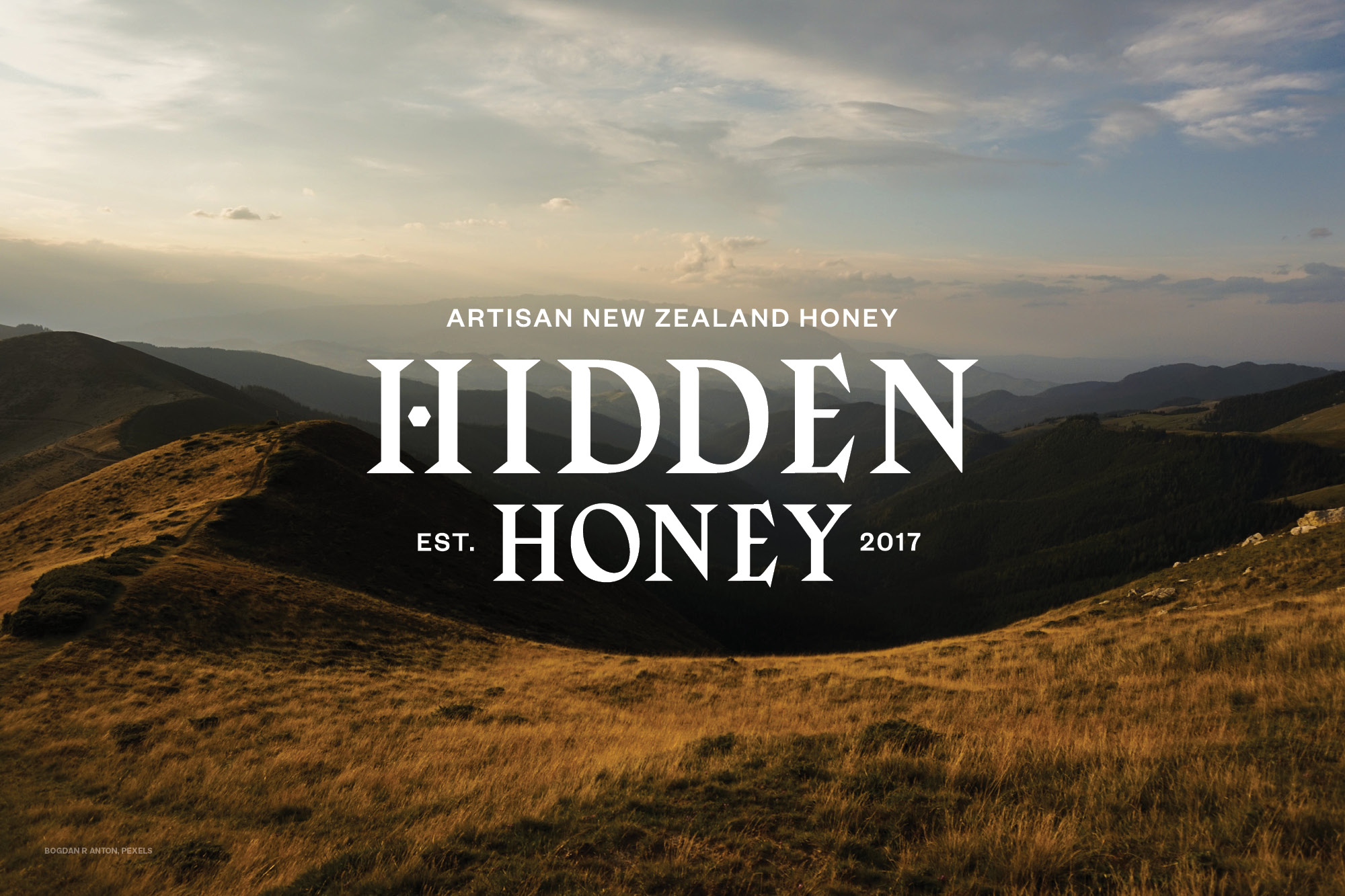 onfire design hidden honey packaging design26