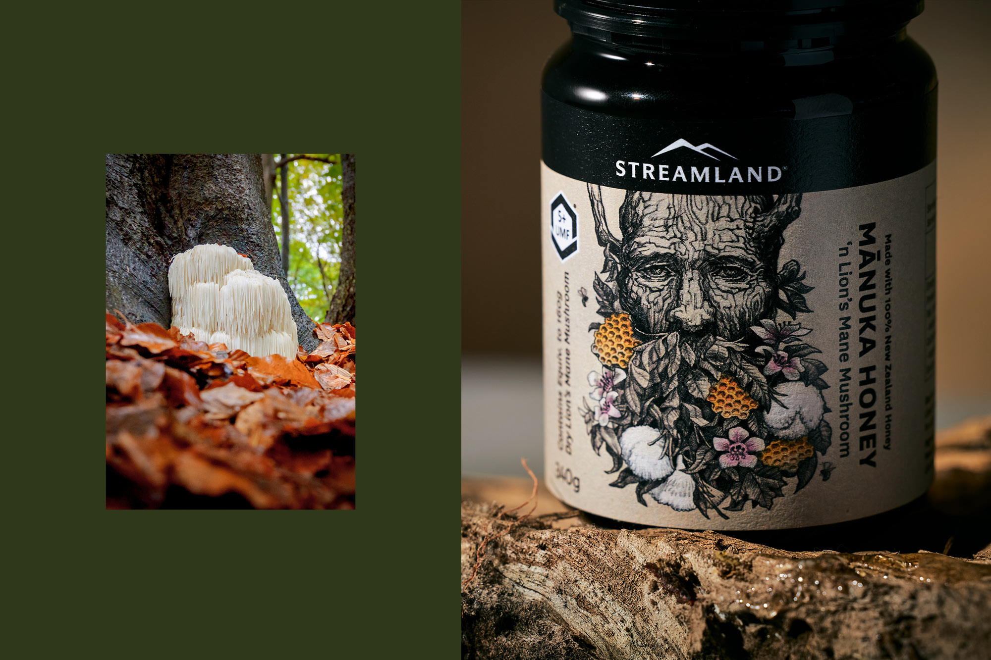 onfire design streamland lion mane manuka honey packaging design auckland 13