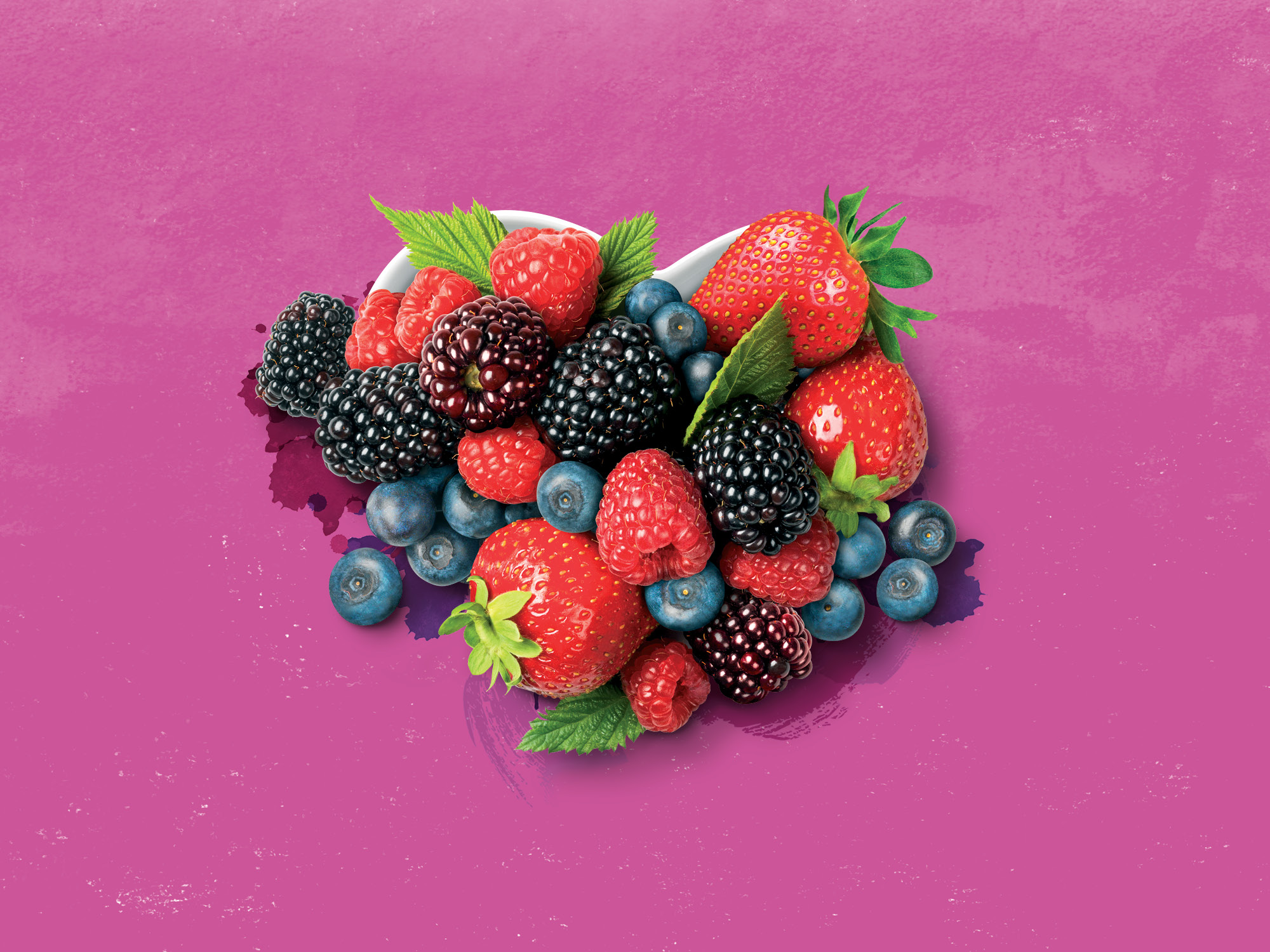 onfire design sujon berries branding packaging graphic design 5.2