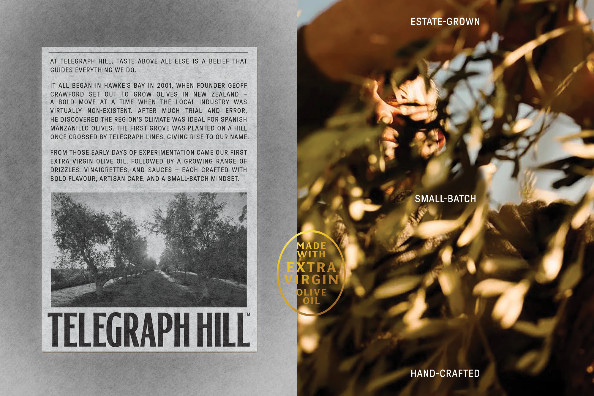telegraph hill brand packaging design auckland nz 4 v2