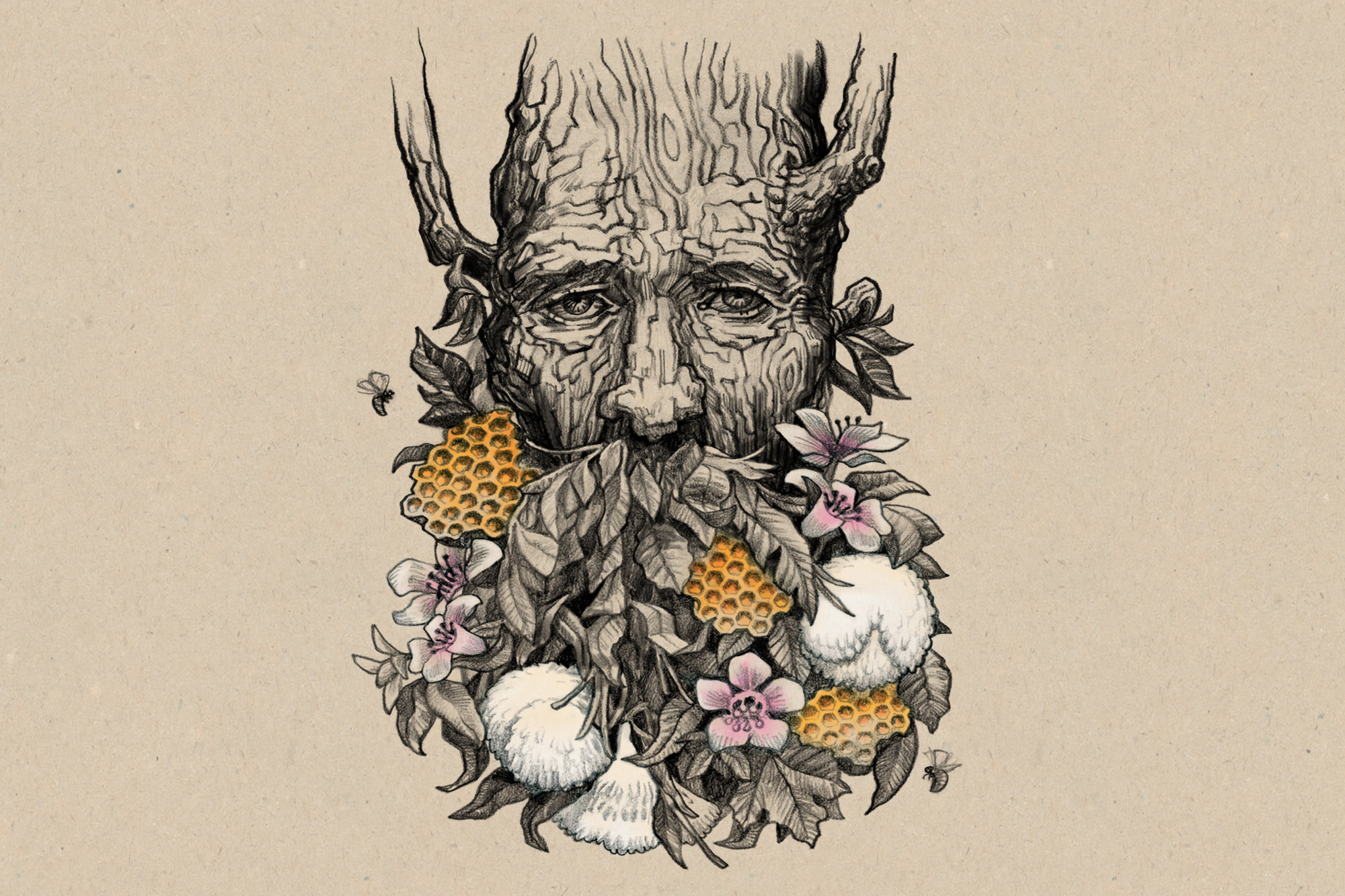 onfire design streamland lion mane manuka honey packaging design auckland 3